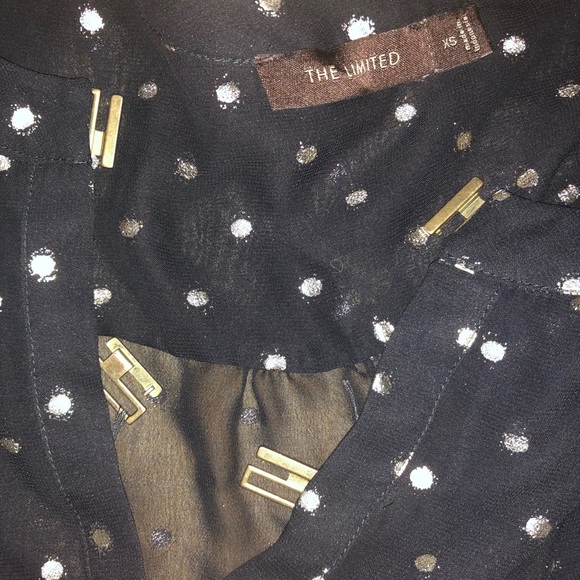 The Limited Polka Dot Blouse - Picture 8 of 9